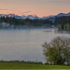 Schwaltenweiher