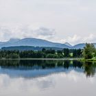 Schwaltenweiher