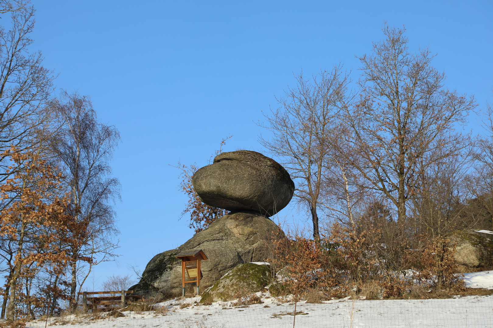 Schwammerlstein in Rechberg