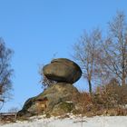 Schwammerlstein in Rechberg