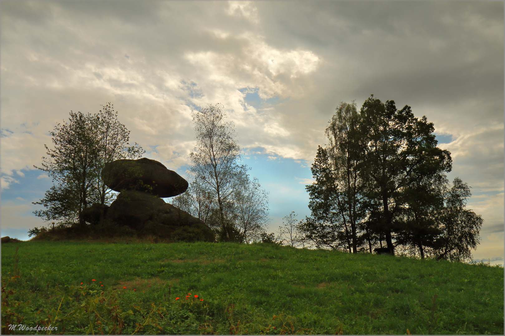 Schwammerlstein in Rechberg