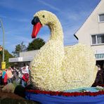 Schwan 1