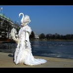 Schwan an der Alster