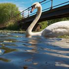 Schwan an der Brücke (Midjourney Version)