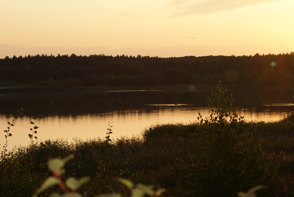 Schwan auf Bergbausee