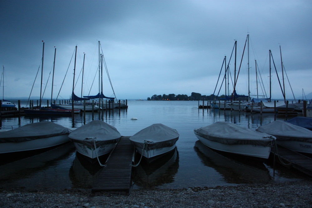 Schwan taucht am Chiemsee