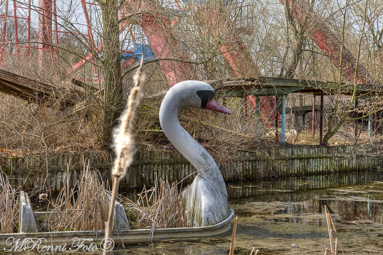 Schwan unter, oder: gluck gluck, wech isser