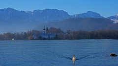 Schwan vor Schloss Ort