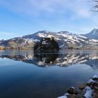 Schwanau_7220