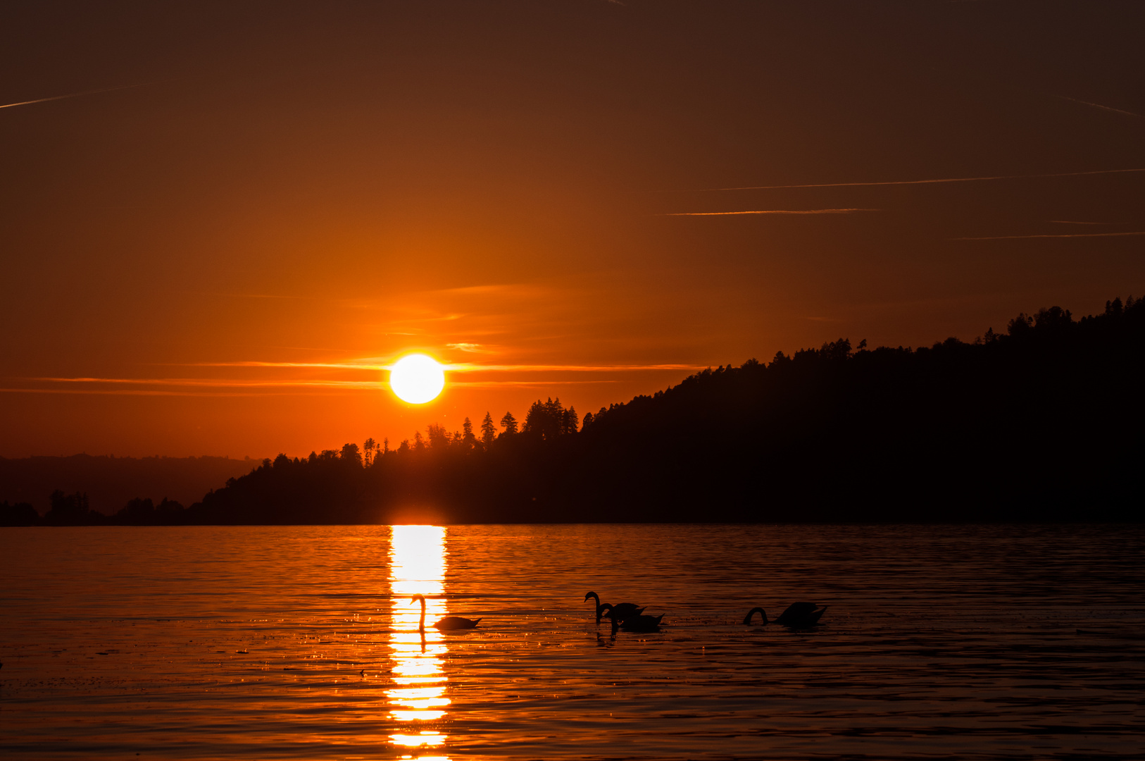 Schwandensee