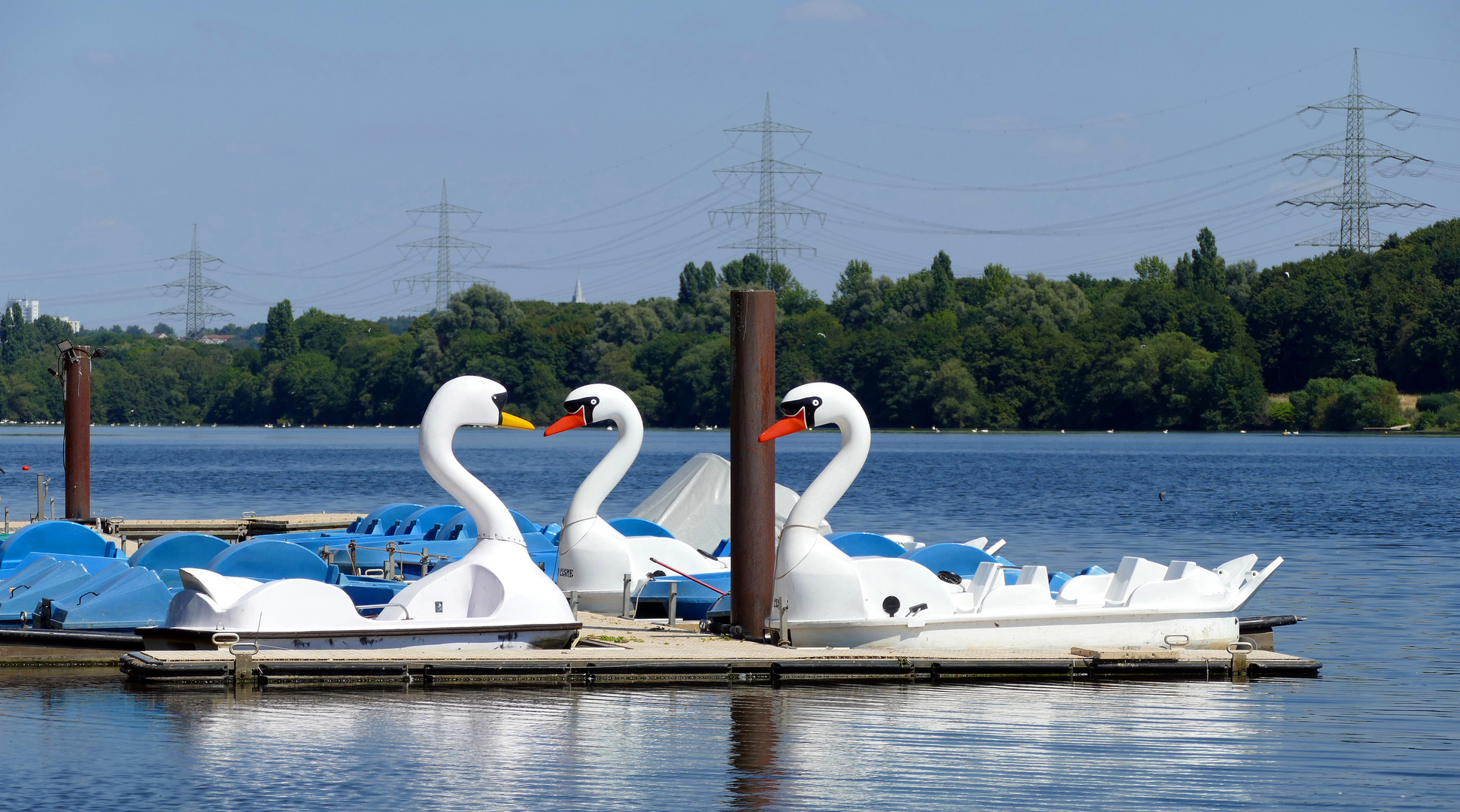 Schwanen-Treff im Tretboot-Hafen