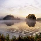 Schwanen Weiher