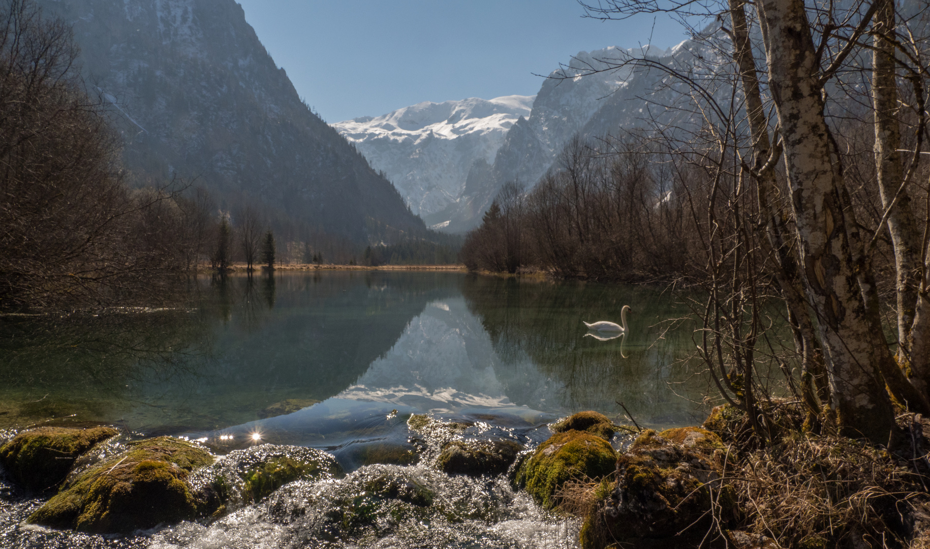 Schwanen(Brunn)see, Steiermark