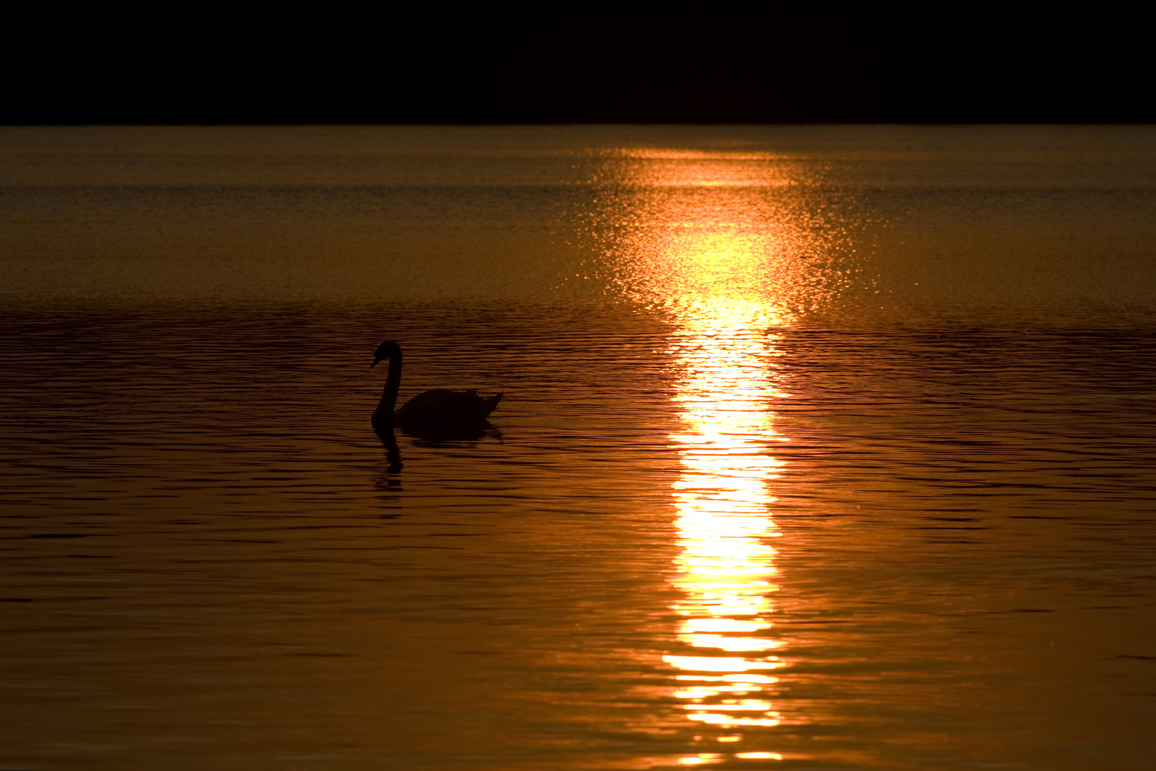 Schwanenesee