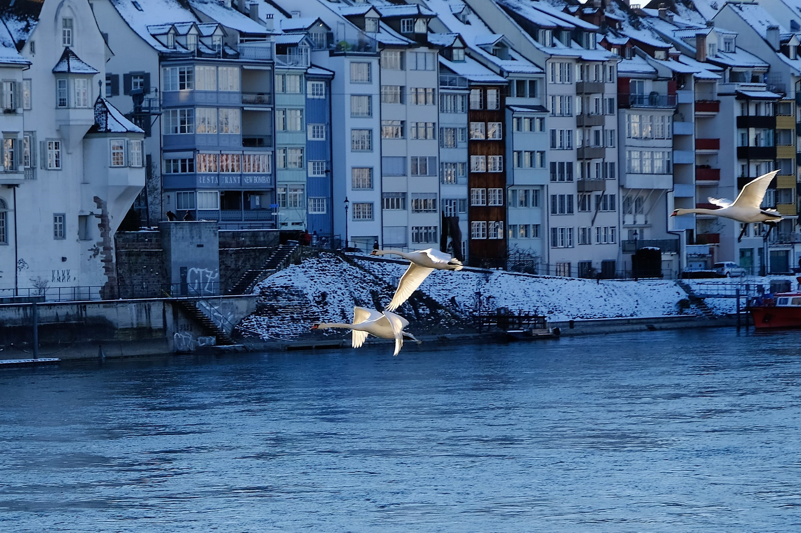 schwanenflug