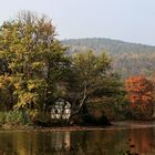 schwaneninsel greizer park