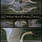 Schwanenkönig