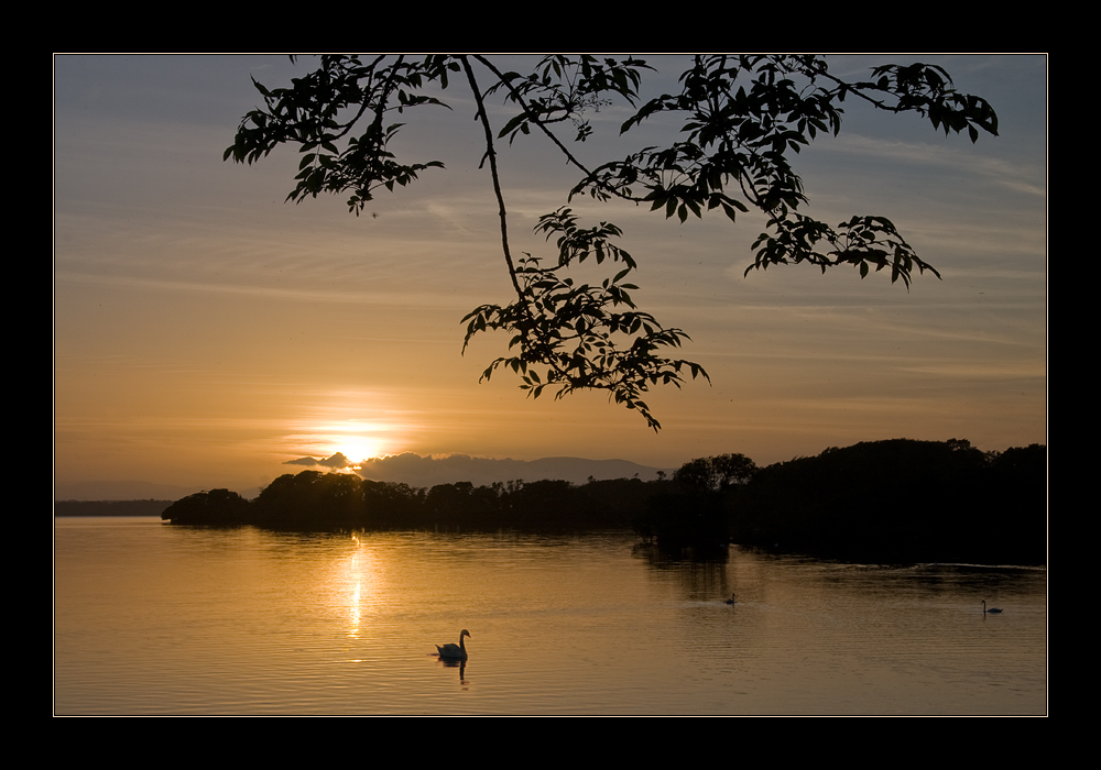 Schwanensee