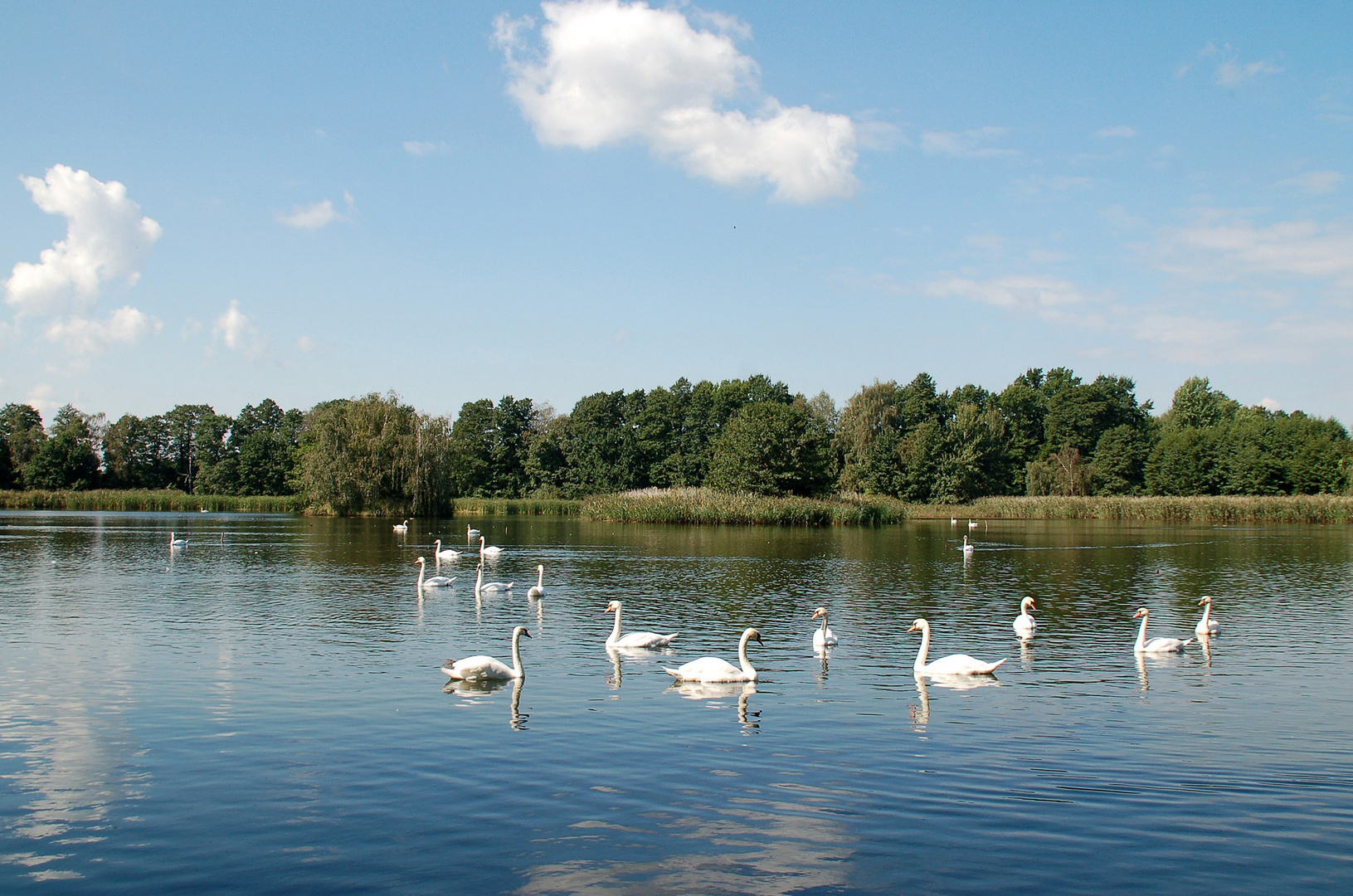 Schwanensee