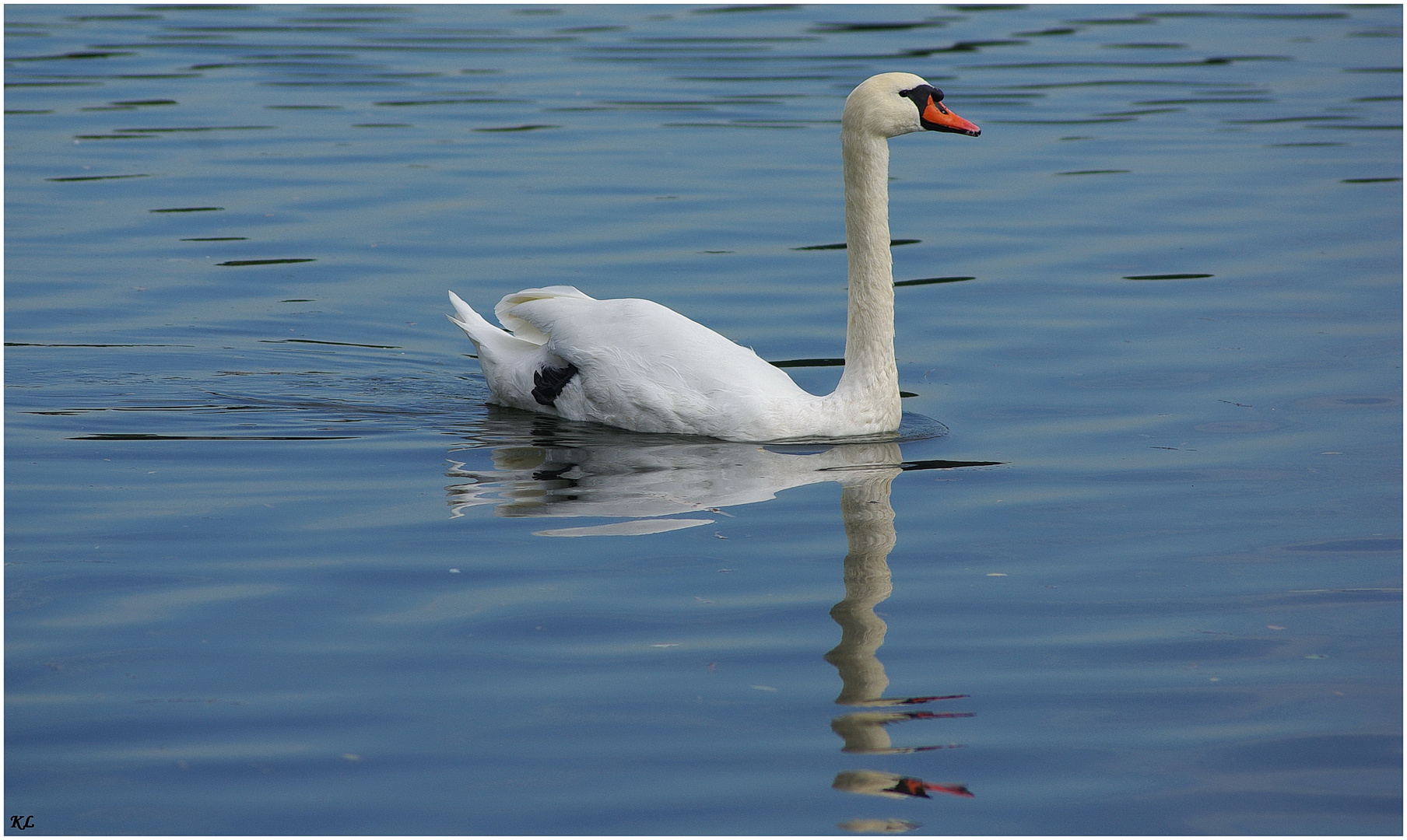 Schwanensee.