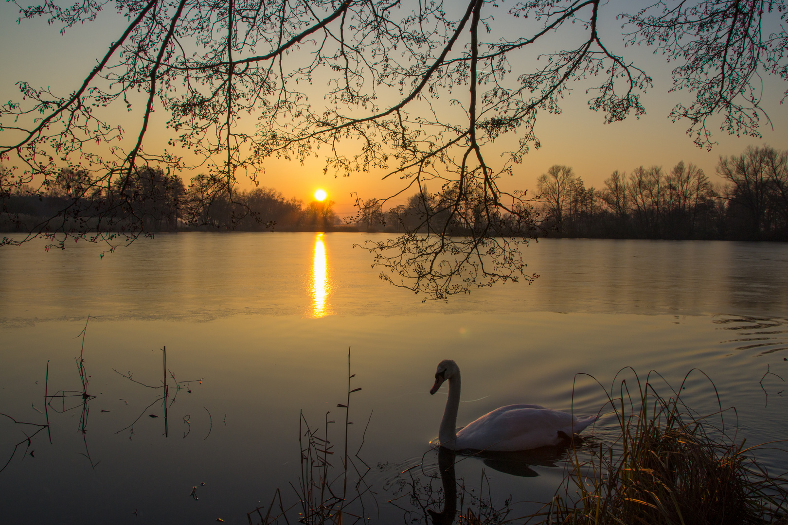 Schwanensee