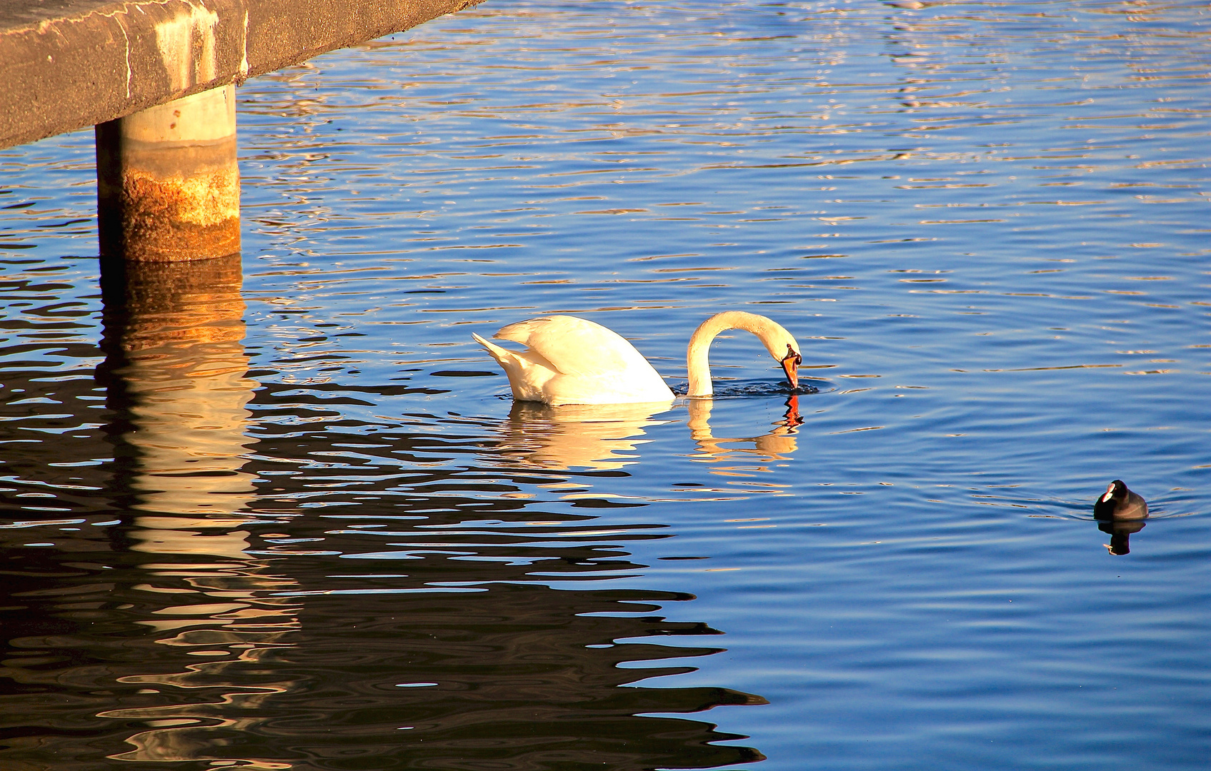 Schwanensee