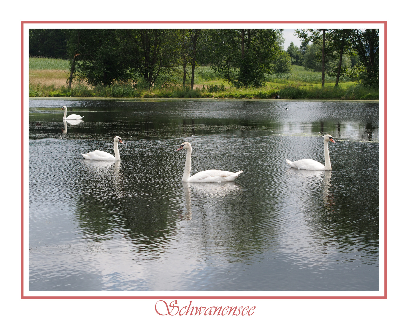 Schwanensee