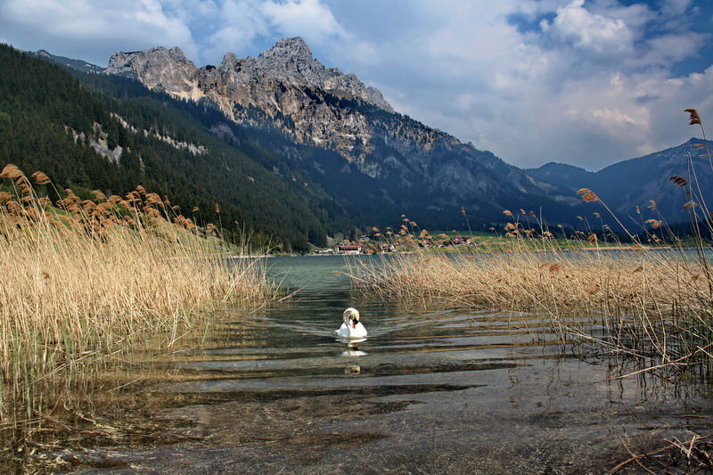 Schwanensee