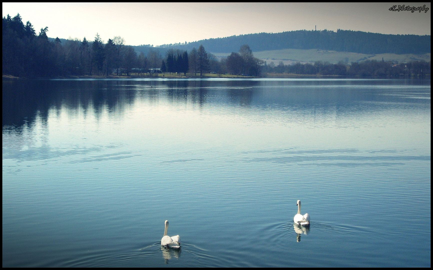 Schwanensee.