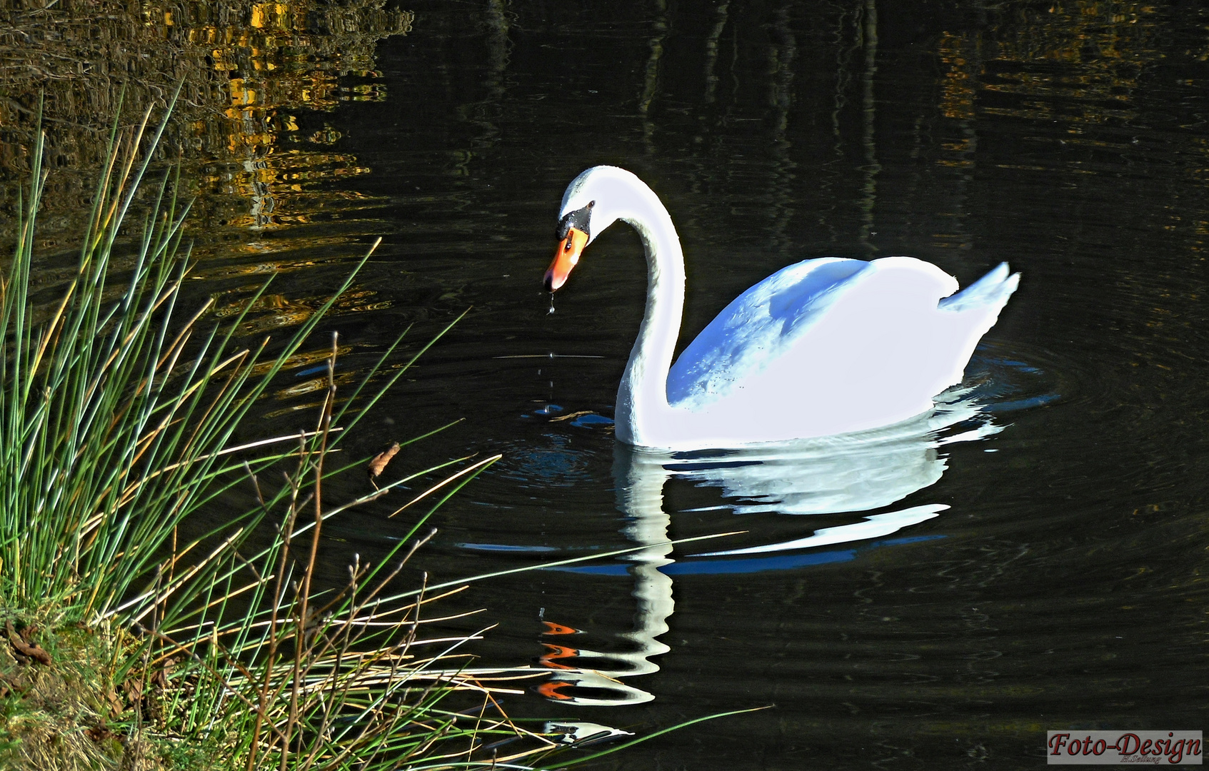 Schwanensee