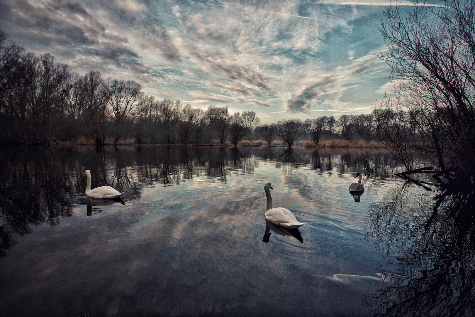 +++SCHWANENSEE+++