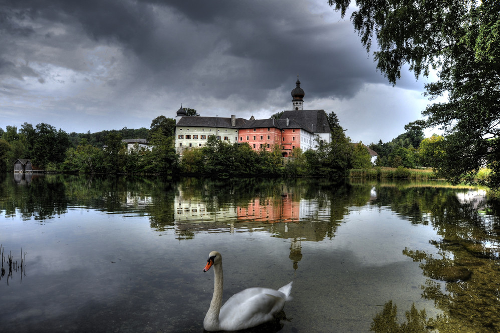 Schwanensee