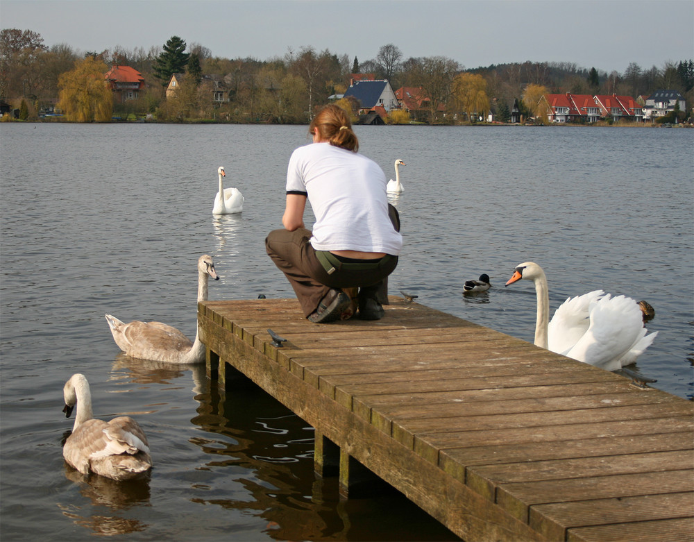 Schwanensee