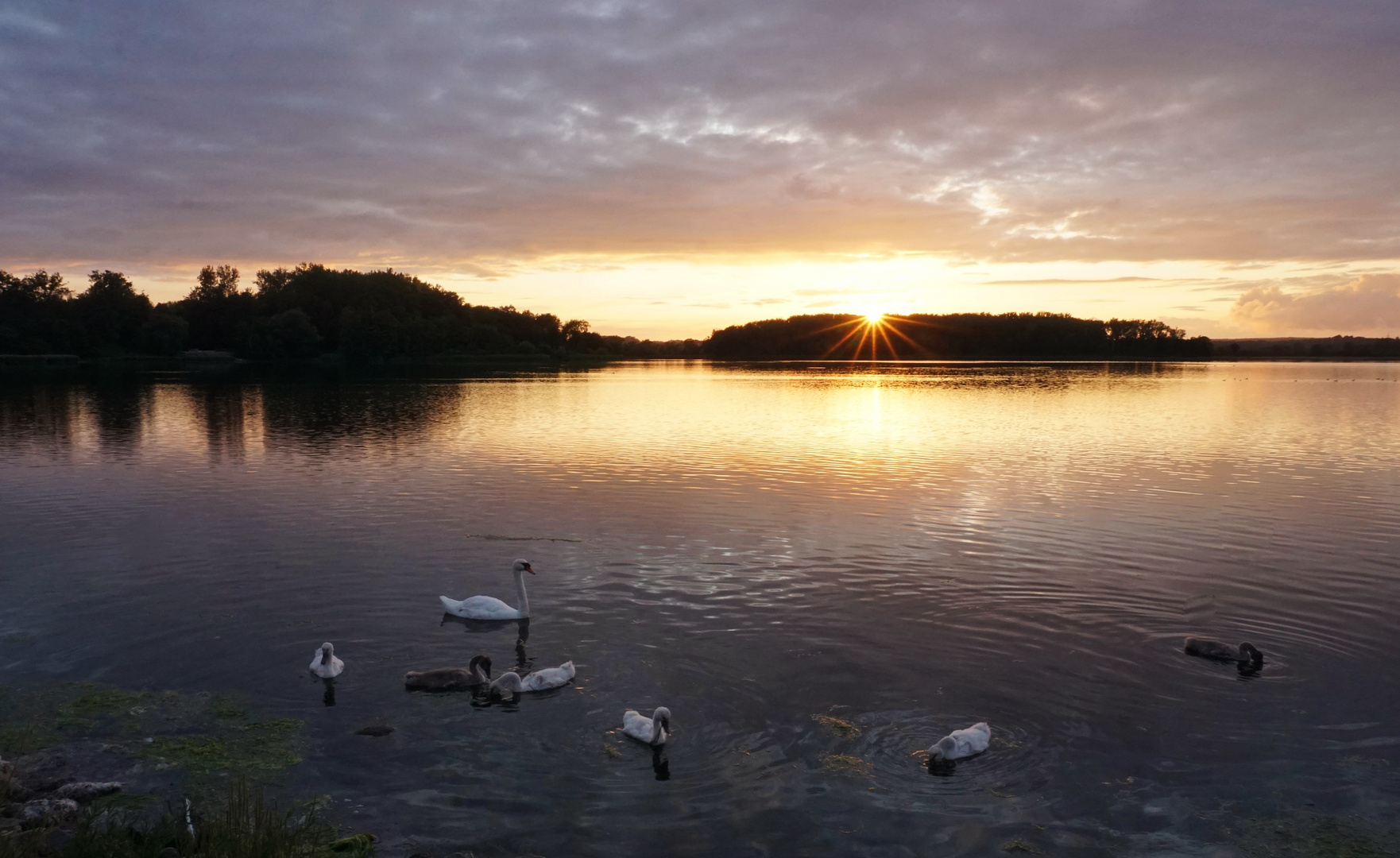 Schwanensee