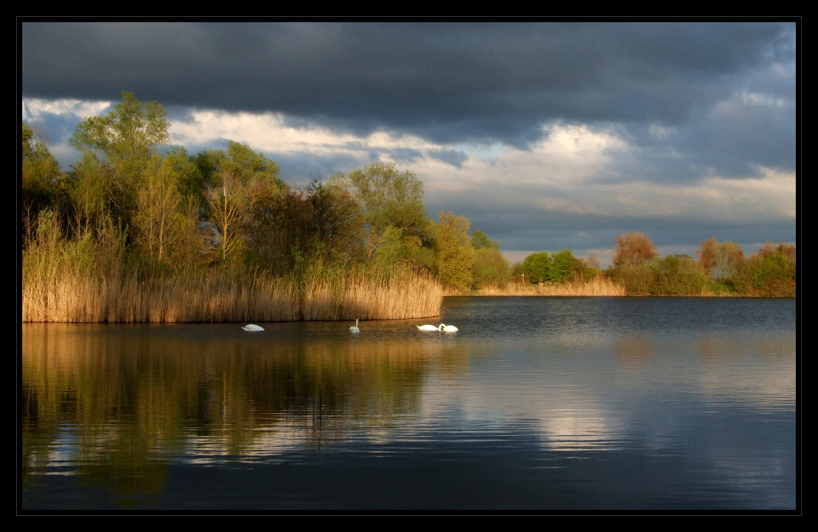 Schwanensee