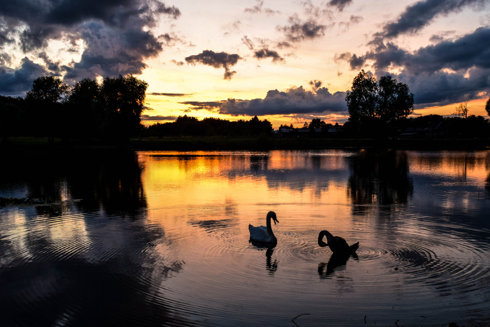 Schwanensee