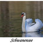 Schwanensee...