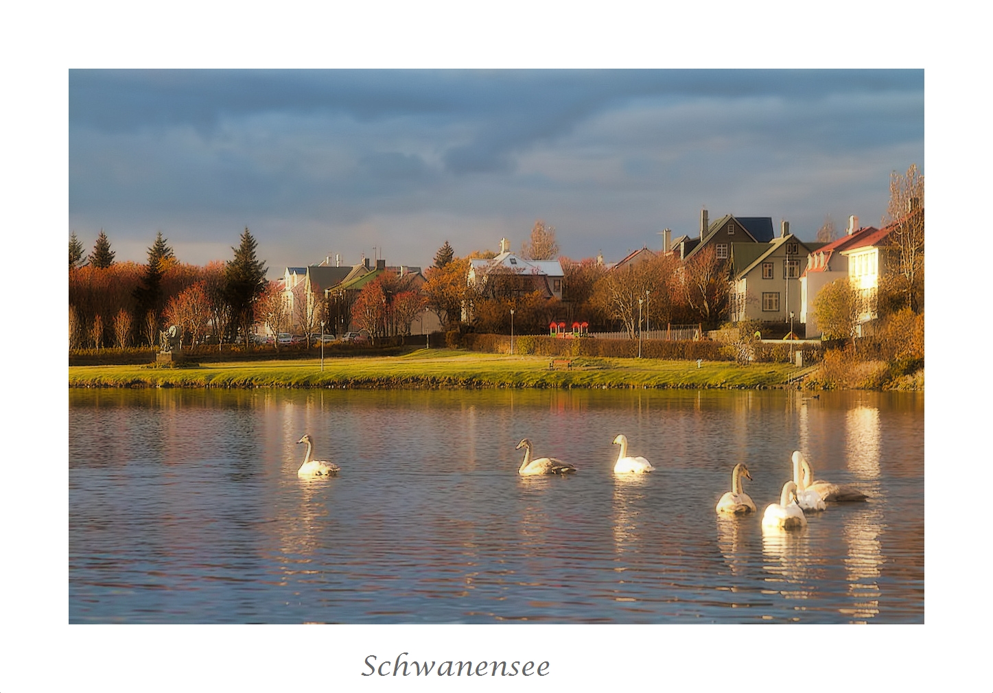 Schwanensee