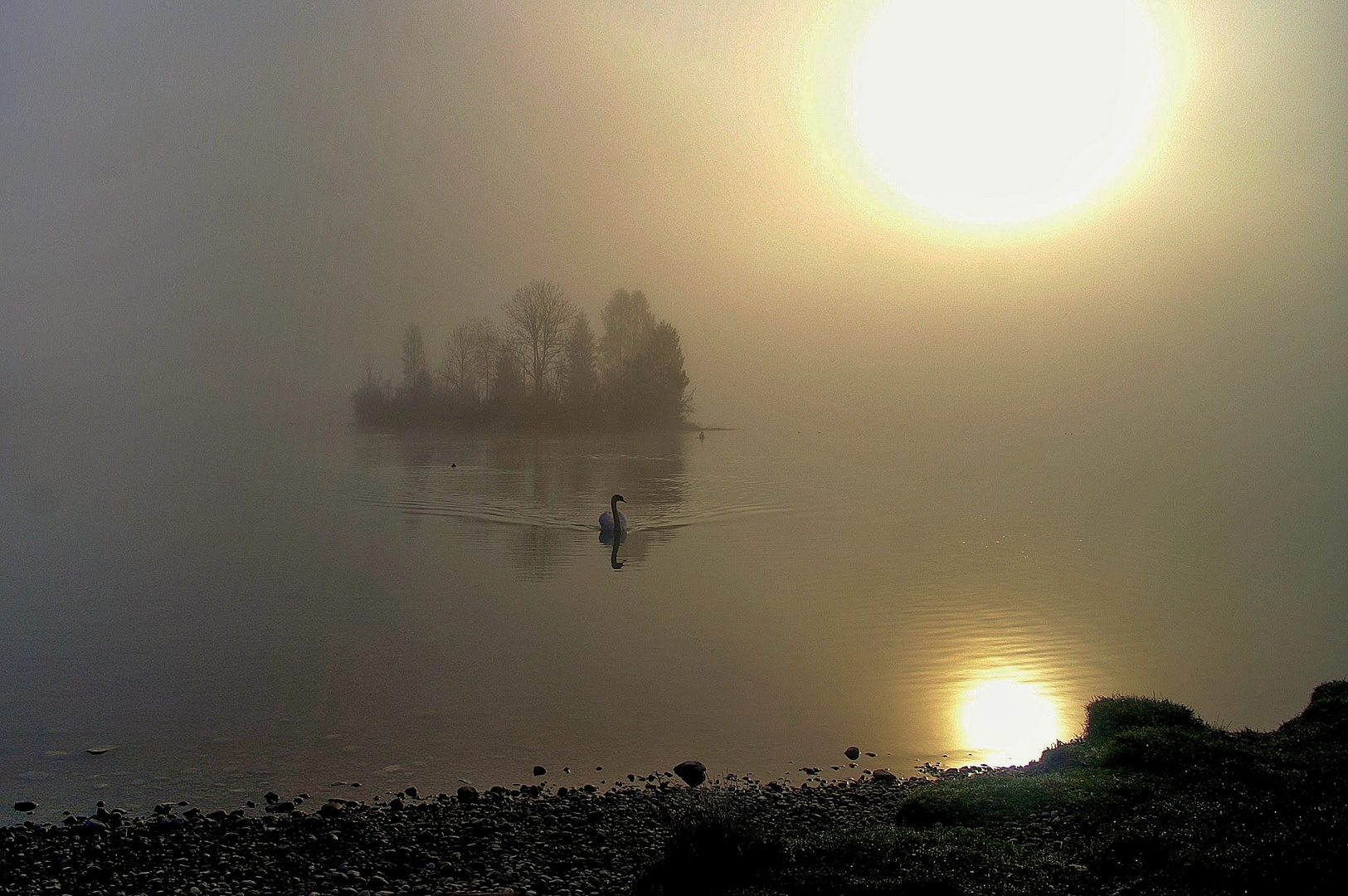 Schwanensee