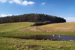 Schwanensee