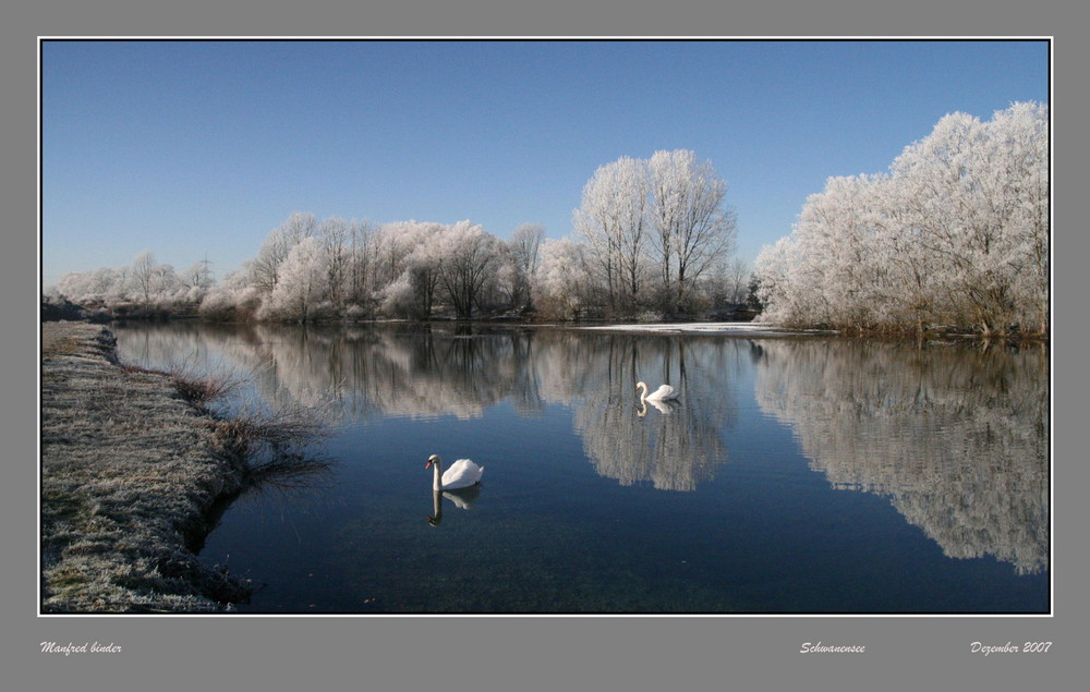 Schwanensee