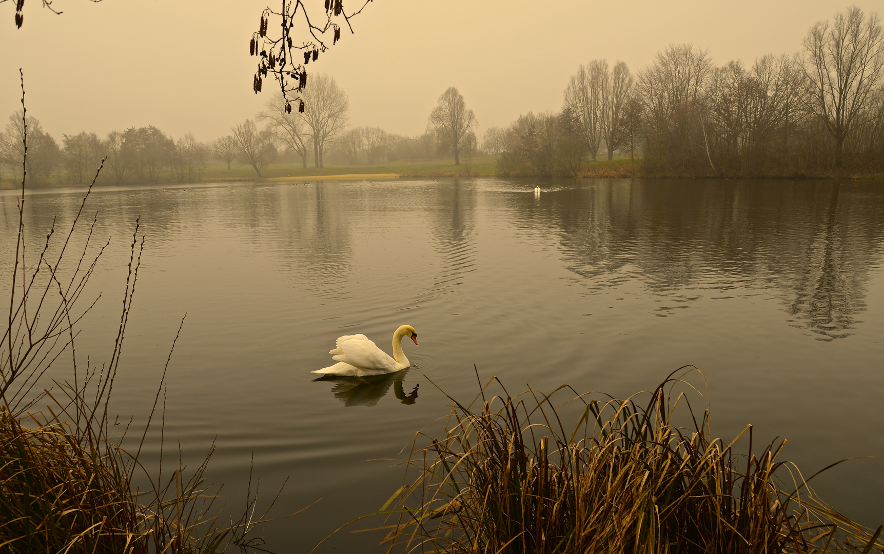 Schwanensee