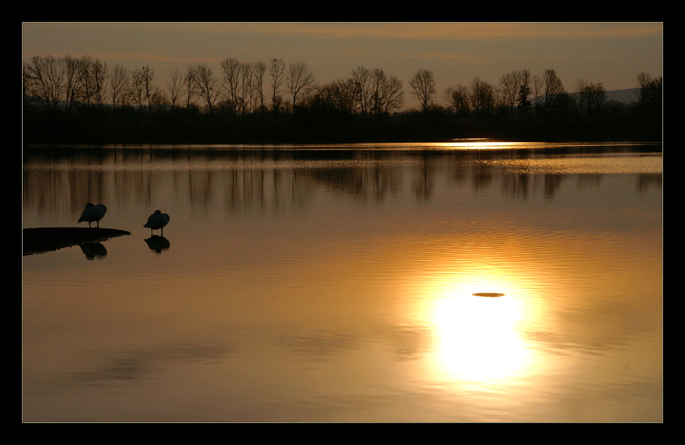 - Schwanensee -