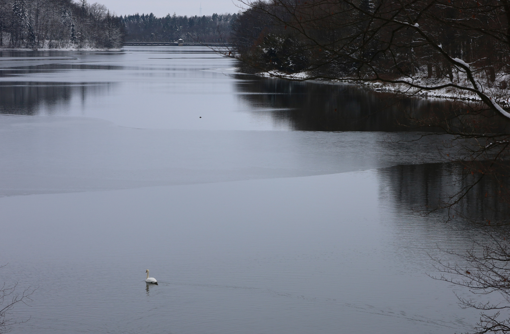 Schwanensee