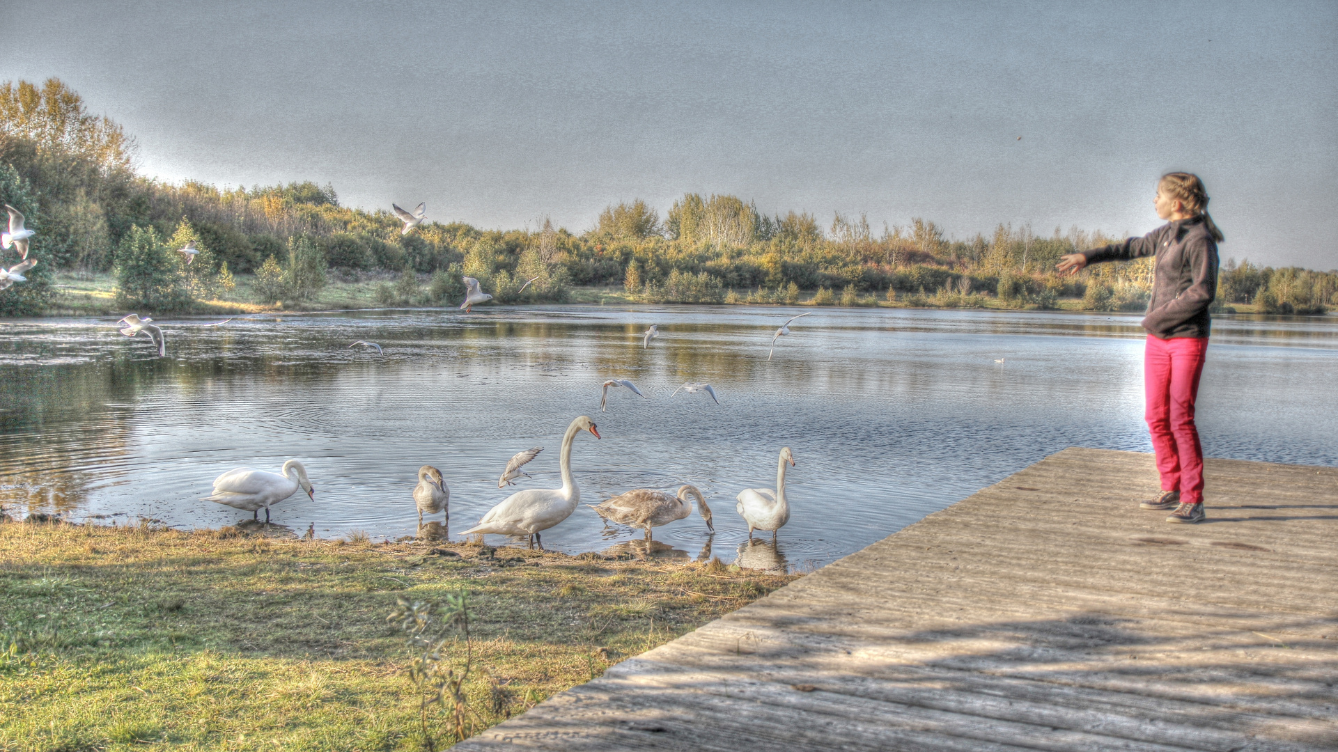 Schwanensee