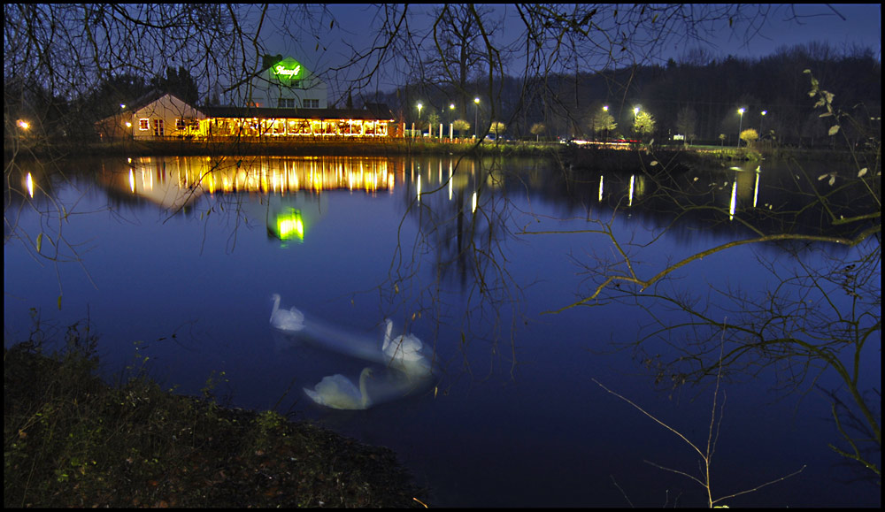 Schwanensee-Ballett