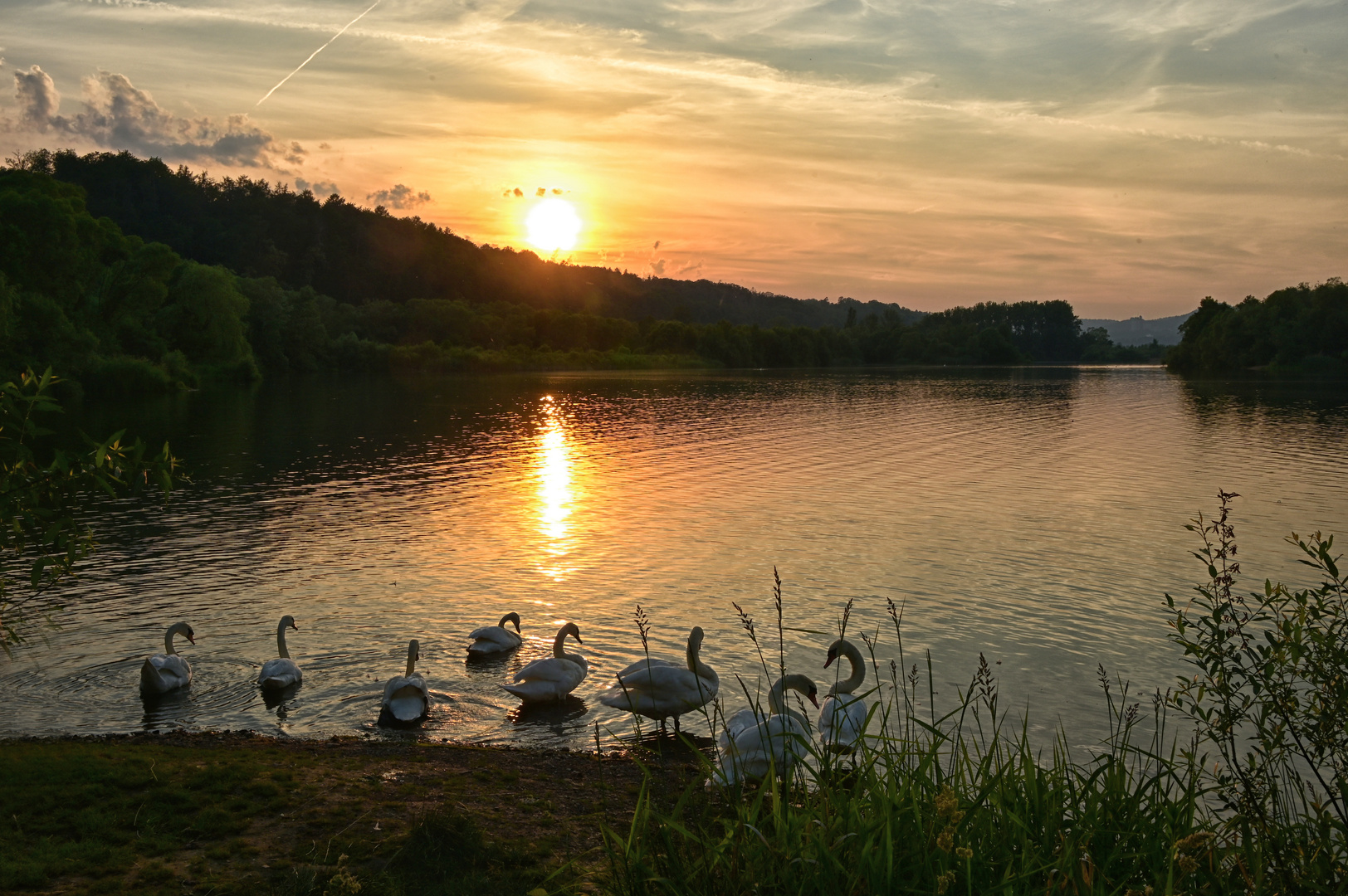 Schwanensee....