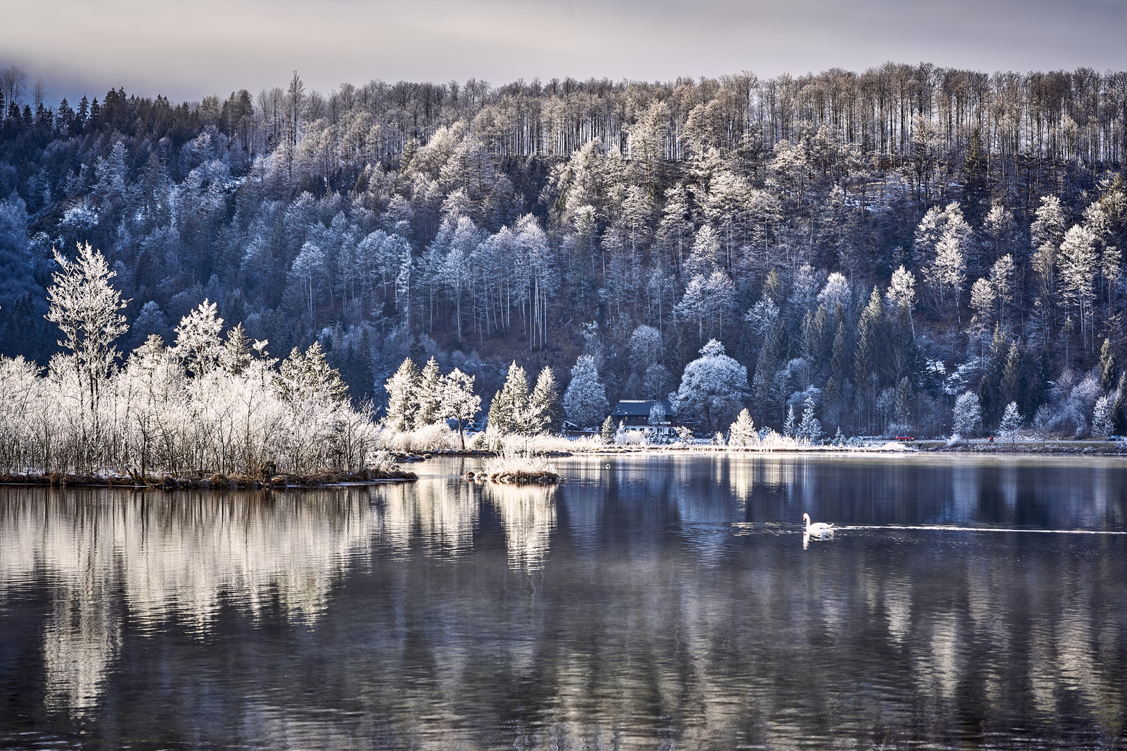 Schwanensee