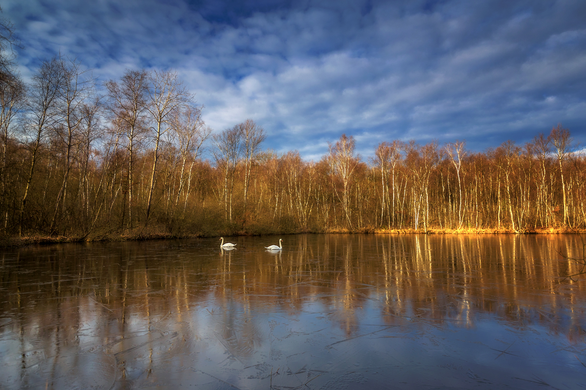 Schwanensee ...