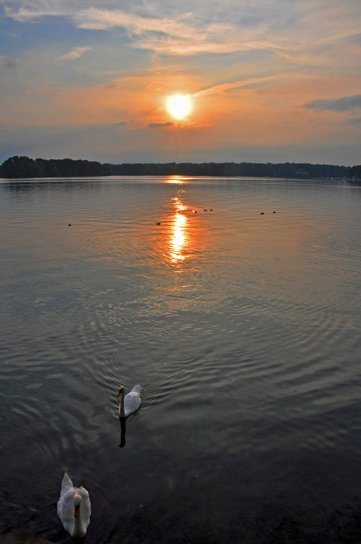 Schwanensee